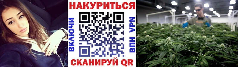 как найти   Махачкала  Шишки марихуана тримм 